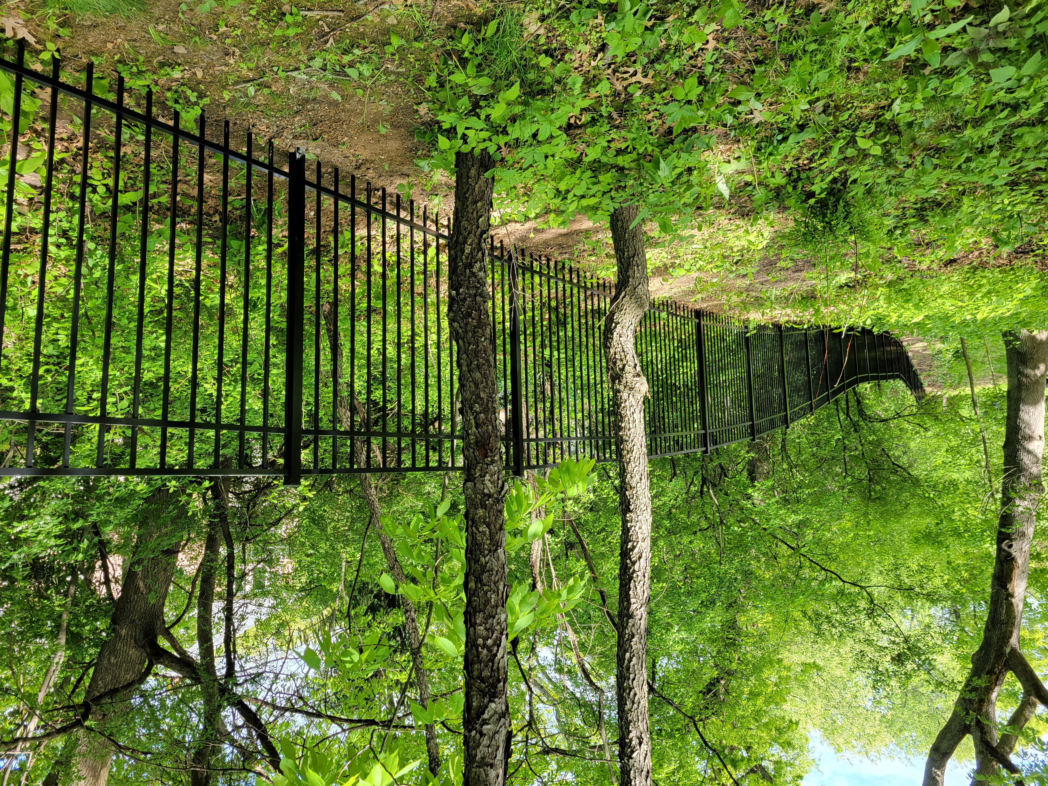 Hanging Planters