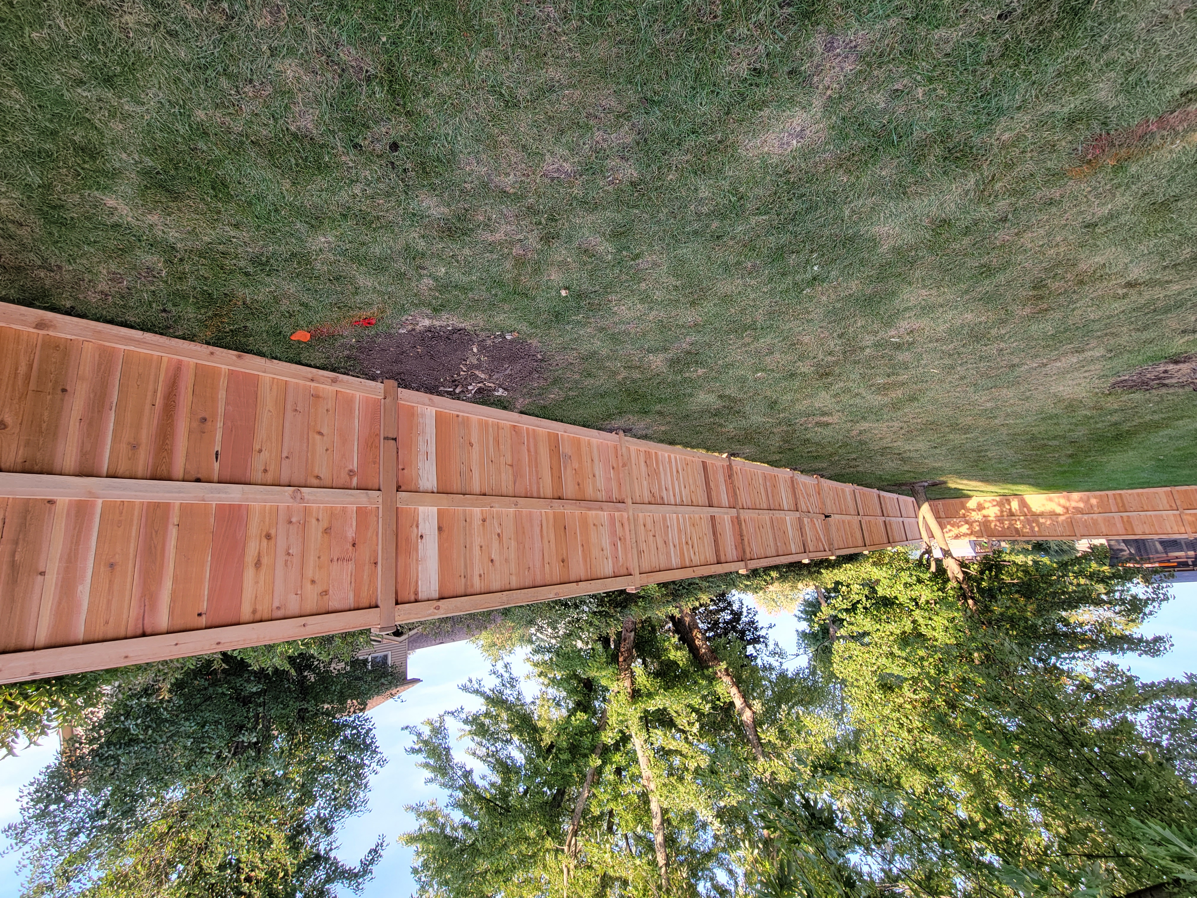 Hanging Planters