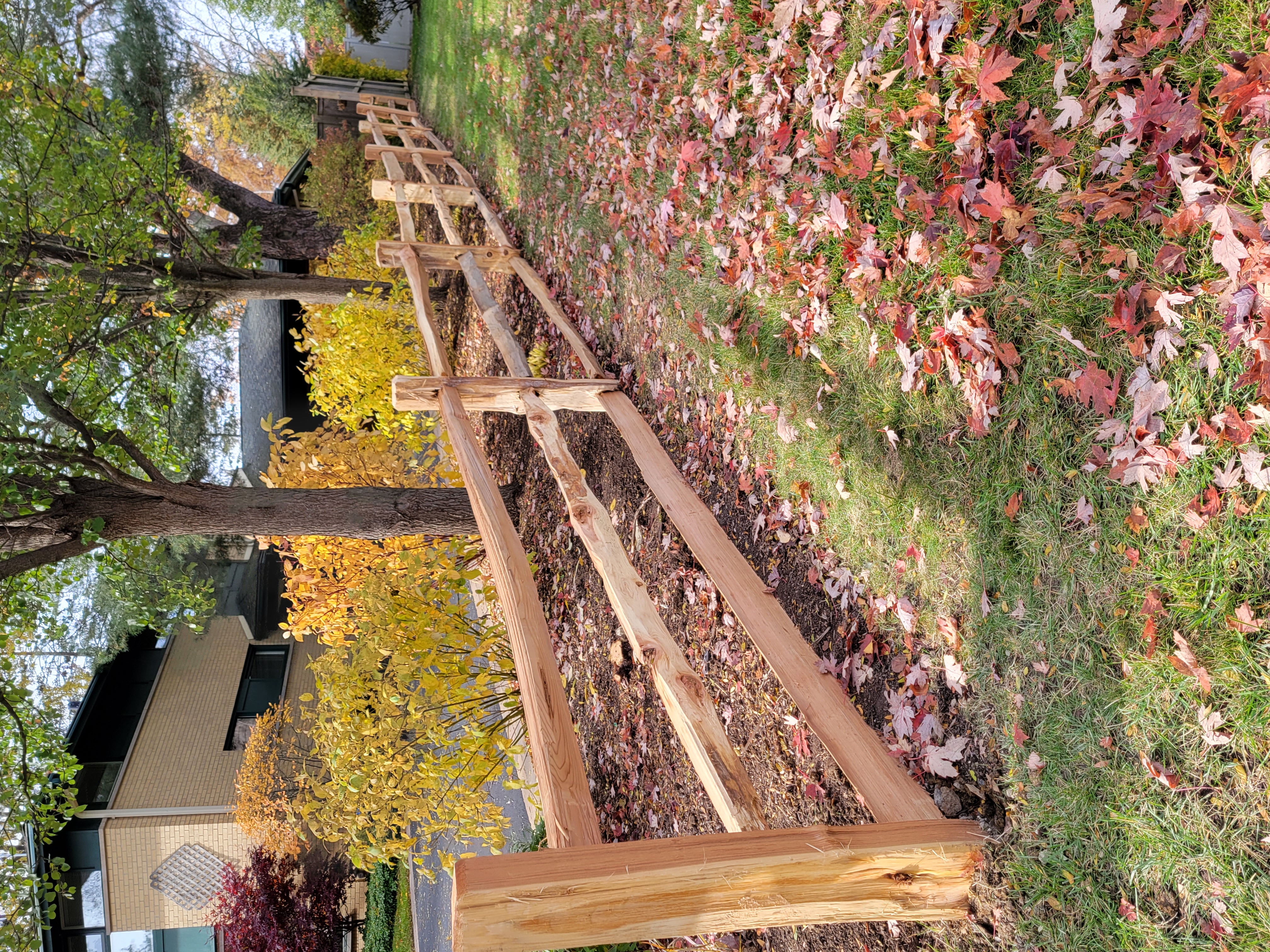 Hanging Planters